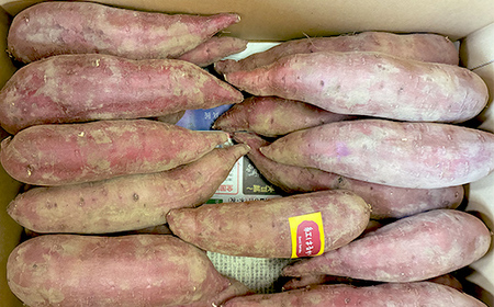 甘さ引き出す 熟成紅はるか 5kg さつまいもS～Mサイズ サツマイモ さつま芋 甘い おやつ 食品 F7X-0791