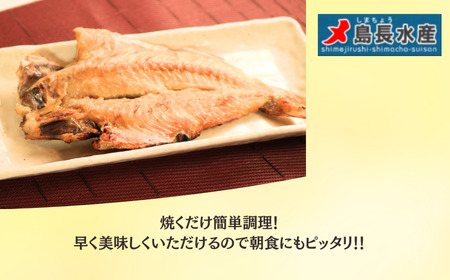  干物 カネガシラ切身干物 4パック 干物