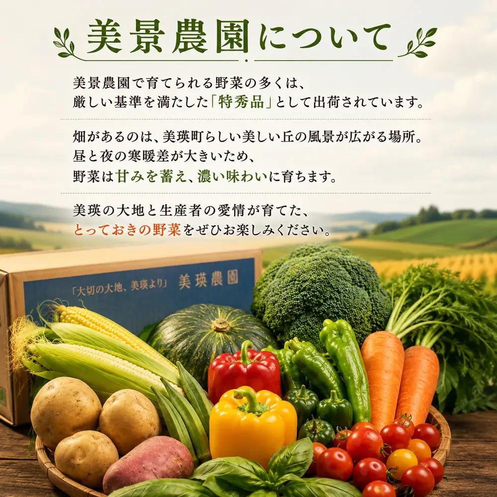 【令和8年産】旬の野菜7～9種の詰め合わせセット 定期便 2回便 9月～10月発送 美景農園