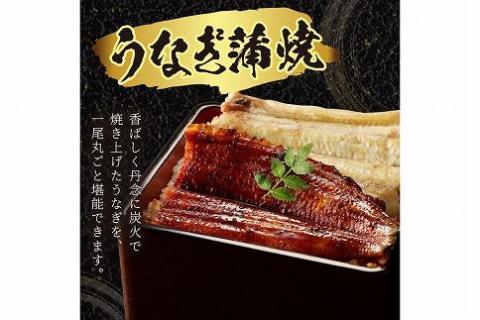 うなぎの食べ比べセット2~3人前【蒲焼き・白焼きそれぞれ1/2尾】全部で1尾　AN00074