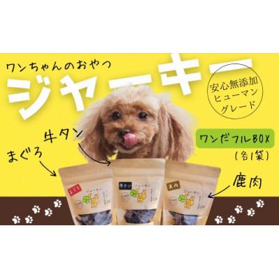 ふるさと納税 河内長野市 《ジャーキー三種セット》ワンちゃんのおやつ(ギフト) ワンだフルBOX (小型犬/中型犬/大型犬)