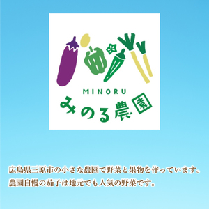 【先行受付】みのる農園 農家直送！朝採れ 美～なす 4kg ナス 野菜 やさい 2026年7月～10月上旬お届け 広島県三原市 206005