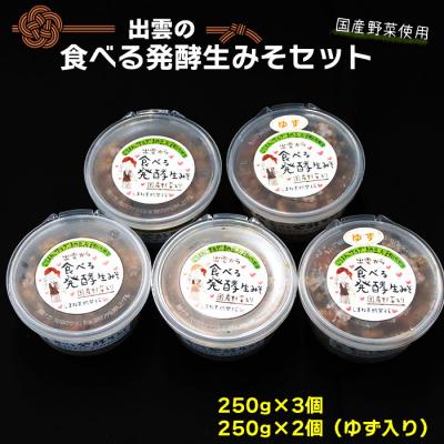 ふるさと納税 出雲市 出雲の食べる発酵生みそ詰合せ250g×5個