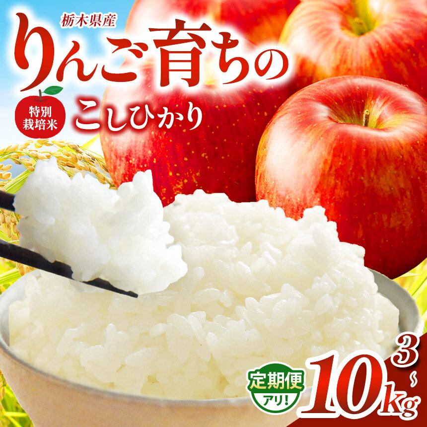 【ふるさと納税】お米 こしひかり 選べる 特別栽培米 3kg～10kg | 令和7年度産 りんご育ち 栃木県 矢板市