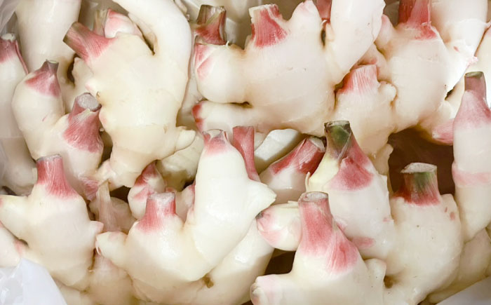 【先行予約】【6月下旬から順次発送】 新生姜 2kg 愛媛県大洲市/株式会社誠実村 [AGER003]