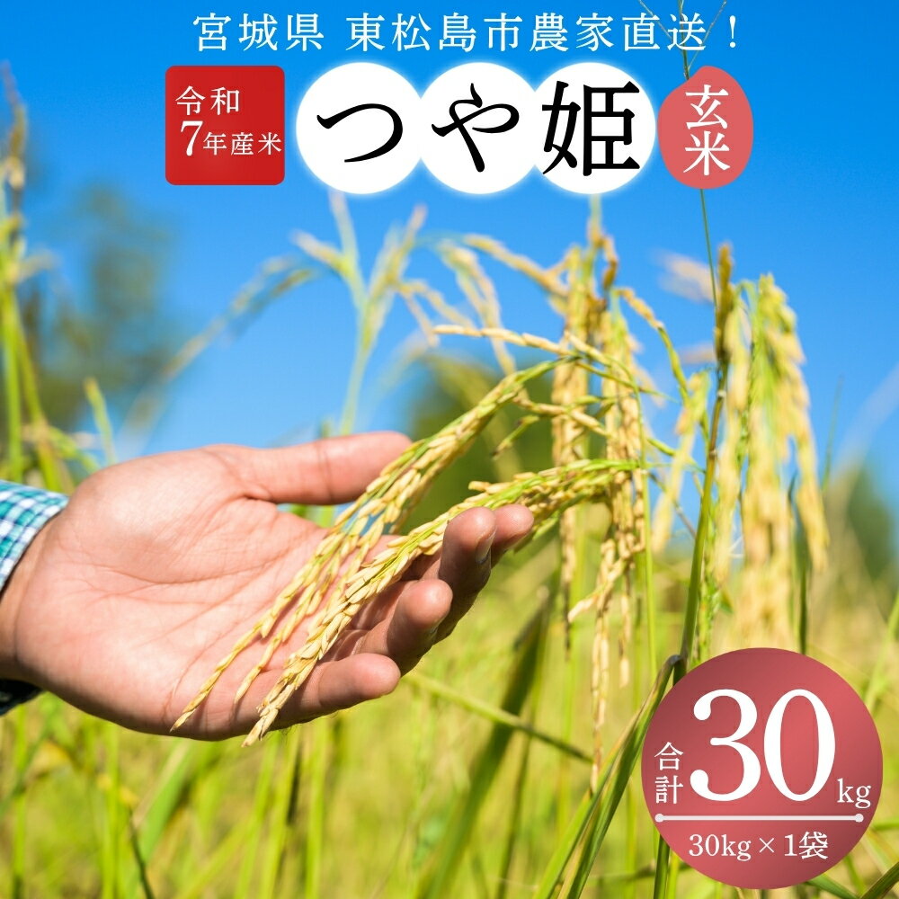 【ふるさと納税】【 令和7年産】【新米】【2025年10月中旬～下旬順次発送予定】 つや姫 玄米 30kg × 1袋 宮城県産東松島市農家直送 ツヤヒメ 米 ご飯 ごはん おにぎり お弁当 お米 こめ 宮城県 東松島市 オンラインワンストップ 自治体マイページ