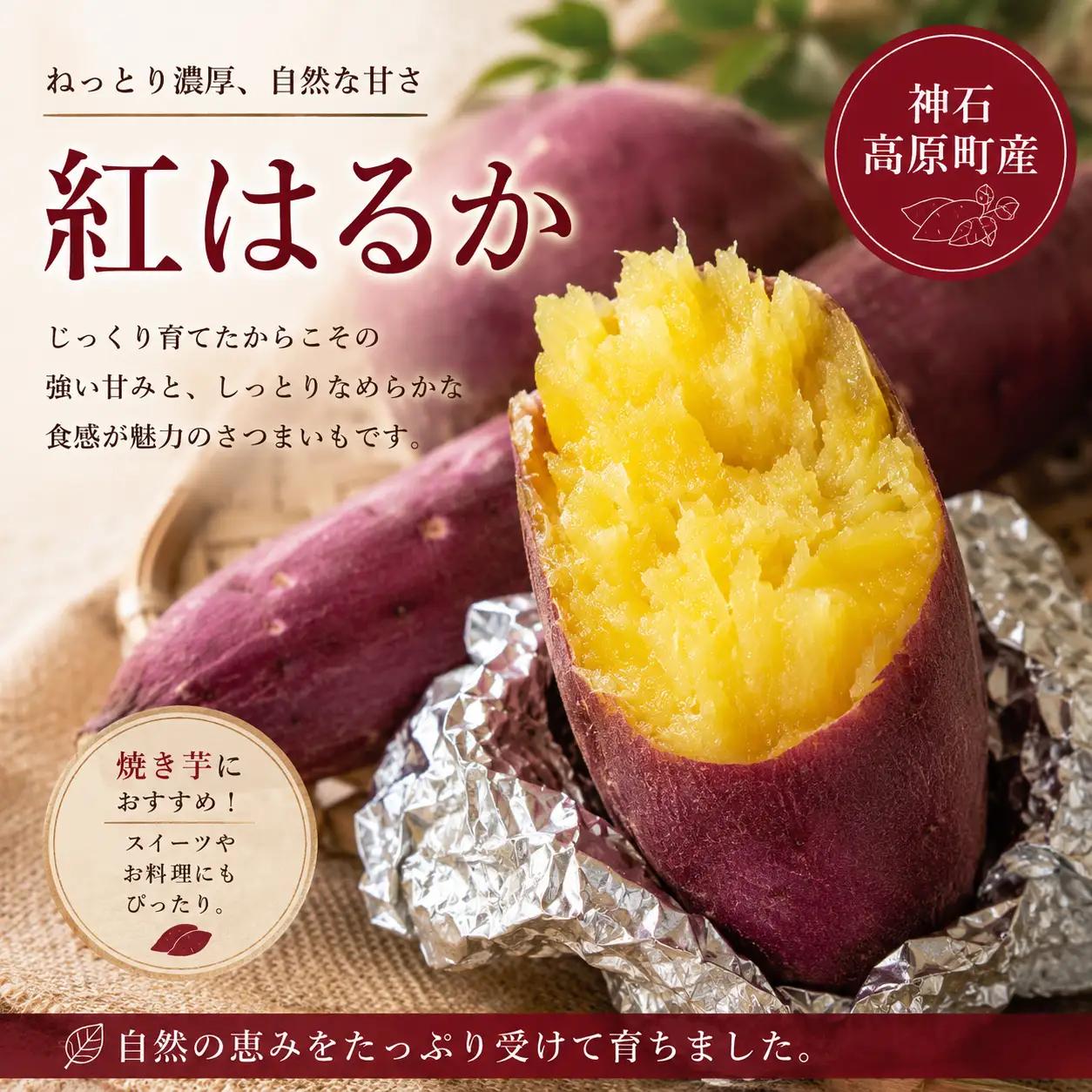 【ふるさと納税】神石高原産 紅はるか 約4kg しっとり甘い さつまいも 国産さつまいも 焼き芋におすすめ｜中ちゃん農園 広島県 神石高原町