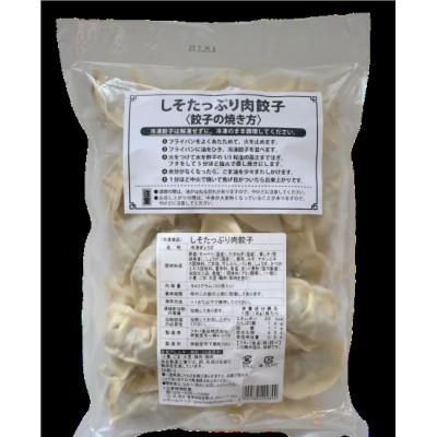 ふるさと納税 行方市 茨城県産銘柄豚ローズポーク使用　しそたっぷり「肉餃子」2袋セット |  | 01