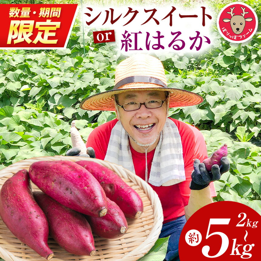 【ふるさと納税】【先行予約】【数量・期間限定】 蜜滴る紅はるか（栽培期間中は農薬・化学肥料不使用）選べる内容量 2kg / 4kg / 5kg | 紅はるか シルクスイート さつまいも 化学肥料不使用 蜜たっぷり 甘いさつまいも 自然栽培 山の恵み ぽりっぽファーム 奈良県 御杖村