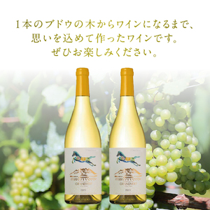 淡路結 シャルドネ 2023 2本セット  ワイン 白ワイン 淡路結 シャルドネ 2023 750ml 2本 白 国産ワイン 山梨県産 北杜市産 白州圃場 柑橘フルーツ アカシア 蜂蜜 ブドウ 記念日