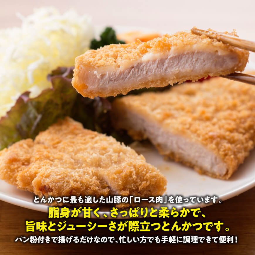 【3ヶ月定期便】月替わりおかずセット【 肉 豚 豚肉 ロース ハンバーグ カレー  】[D07503t3]