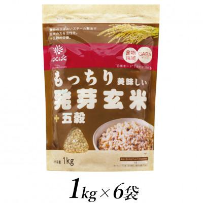 ふるさと納税 南アルプス市 はくばくのもっちり美味しい発芽玄米+五穀　1kg×6個