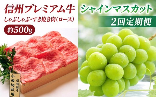
                  【2回定期便】信州プレミアム牛（しゃぶしゃぶ・すき焼き肉ロース 500g）・シャインマスカット 2房｜【小田切牧場／JA信州うえだ】ぶどう 葡萄 大粒 果物 フルーツ 和牛 頒布会 長野
                