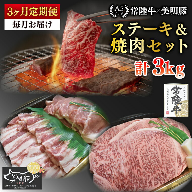 【ふるさと納税】【3ヶ月定期便】【常陸牛 A5ランク・美明豚ステーキ焼肉セット】常陸牛サーロイン600g（300g×2枚）＋美明豚400g（ロース200g・ばら200g）【冷凍 国産牛 和牛 牛肉 豚肉 ブランド豚 茨城県 水戸市 食べ比べ セット商品 国産 BBQ】（EK-35_1）