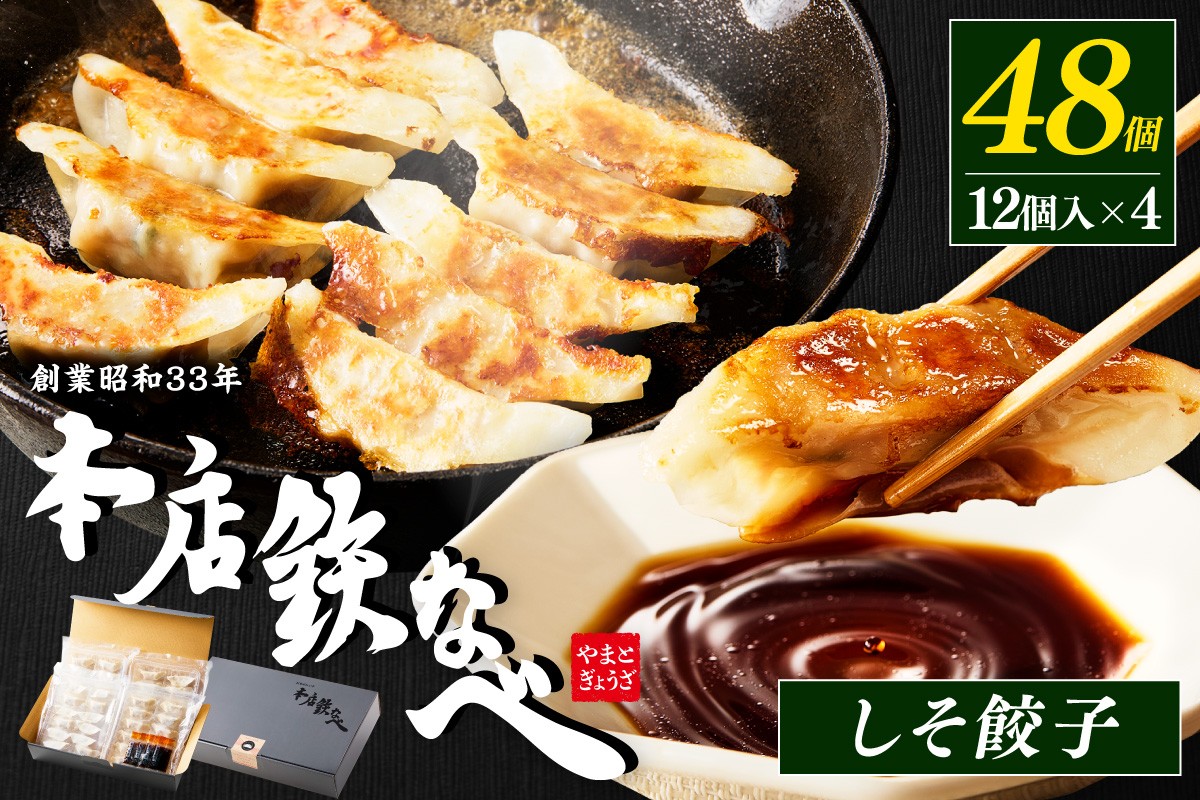 
本店鉄なべ　冷凍しそぎょうざ48個入り【040-0004】
