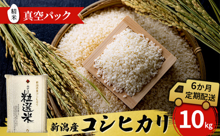新潟産コシヒカリ精米10kg真空パック（6か月定期配送） 米 定期便 6ヶ月 コシヒカリ 精米 白米 コメ こめ お米 おこめ 10kg こしひかり ご飯 ごはん 6回 お楽しみ 新潟 
