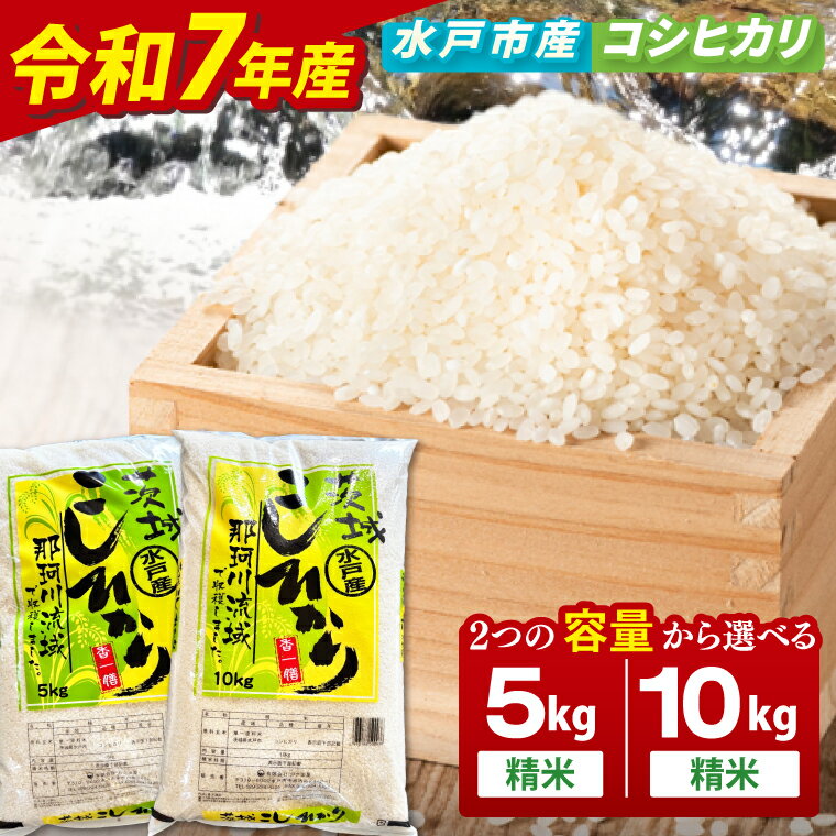 【ふるさと納税】【数量限定】【令和7年産】【選べる内容量】水戸産コシヒカリ5kg|10kg 精米【お米 ごはん コシヒカリ おにぎり ごはん 茨城県 水戸市】(NP-3)