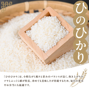 s424 ＜令和6年産＞薩摩のさつま(5kg)さつま町の豊かな自然と清らかな水で育ったお米！鹿児島 国産 九州産 お米 こめ 白米 精米 ヒノヒカリ ごはん ご飯【JA北さつま】