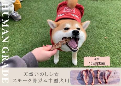 FB085 _中型犬向け☆天然いのししのスモーク骨ガム4本（300～400g）【定期便】全12回