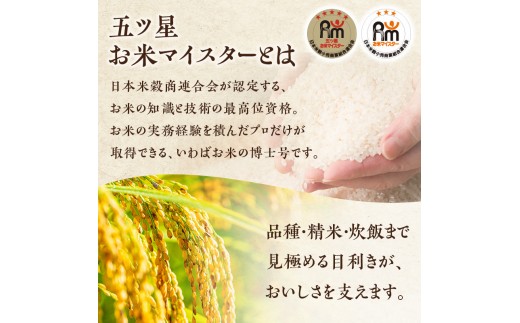 R8年産 新潟県産 コシヒカリ  10kg 6か月定期便 新潟県 新潟市産 令和8年産 お米 精米 米 ご飯 送料無料