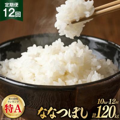 ふるさと納税 砂川市 12回 定期便 JA新すながわ産 ななつぼし 10kg×12回 総計120kg [12260802]