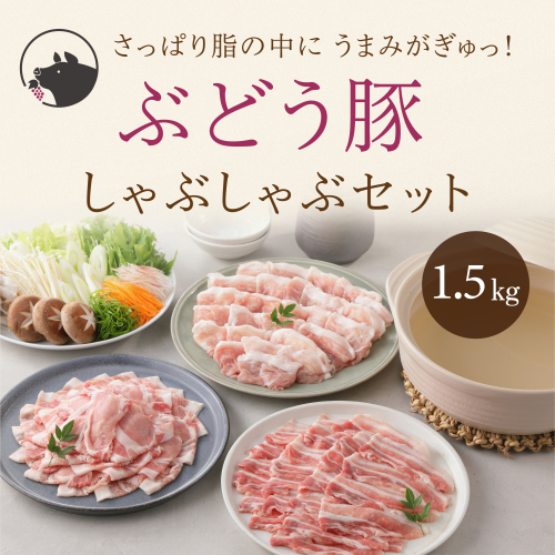 宮崎県産 希少「綾ぶどう豚」 しゃぶしゃぶセット 1.5kg (500g×3パック)  モモ 豚バラ ロース 食べ比べ 国産 ブランド豚 豚肉 小分け