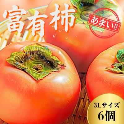 ふるさと納税 大野町 甘くておいしい岐阜の柿 【富有柿】 3L×6個 秀品 岐阜県 大野町(2025年11月下旬〜発送)