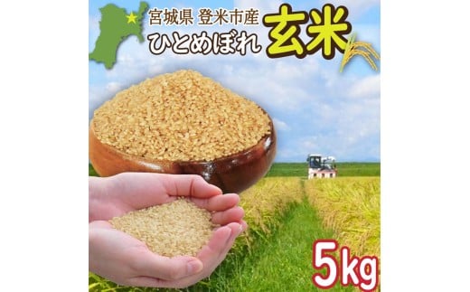 ≪令和7年産≫  宮城県登米市産 ひとめぼれ 玄米 5kg お米 おこめ 米 白米 コメ ご飯 ごはん おにぎり お弁当 ブランド米【有限会社伊豆沼農産】tm481