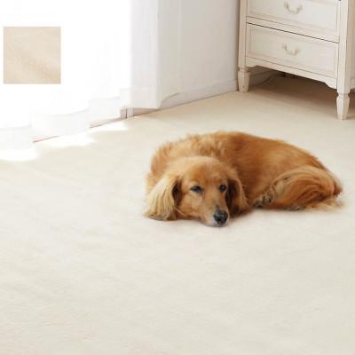 ふるさと納税 泉大津市 ペットにもやさしい　抗菌。防臭カーペット　江戸間3帖　1枚　アイボリー　600094630