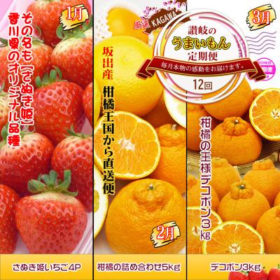 ふるさと納税 坂出市 【発送月固定定期便】創業100年坂出産のフルーツとさぬきの特産品の定期便【Cコース12回】全12回
