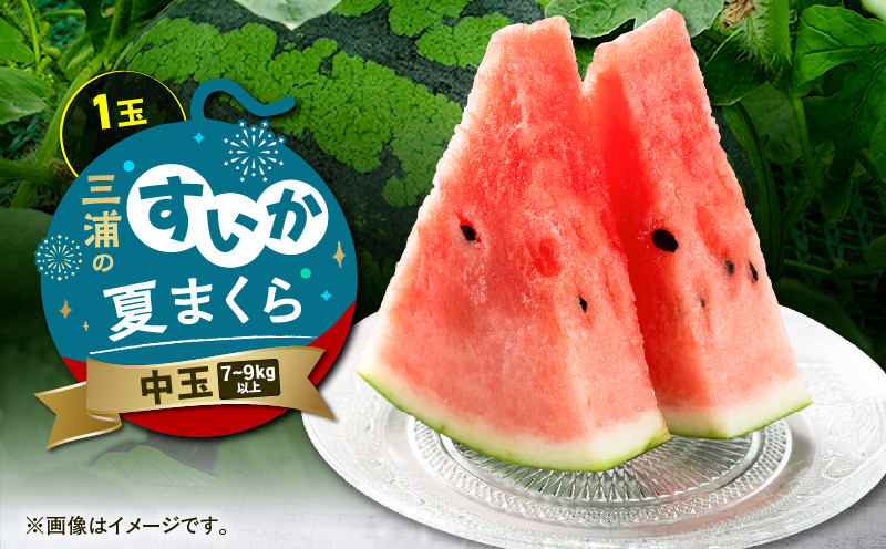 
            三浦のスイカ「夏まくら」（中玉）　M080-005-02
          