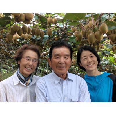 ふるさと納税 下仁田町 <先行予約>【2年連続受賞】下仁田町産キウイフルーツ(27個入り/2Lサイズ) |  | 01