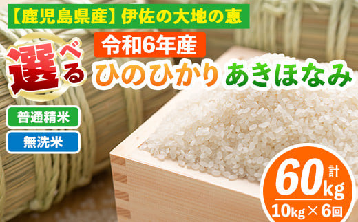 
isa518 【定期便6回】 選べる精米方法！令和6年産 鹿児島県伊佐南浦産 ひのひかり5kg・あきほなみ5kg (合計60kg・計10kg×6ヵ月) 国産 白米 精米 無洗米 伊佐米 お米 米 生産者 定期便 ひのひかりあきほなみ 新米【Farm-K】
