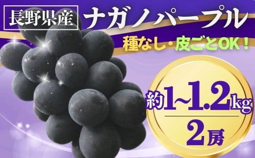 【2026年先行予約】ぶどう ナガノパープル 約1~1.2kg(2房)｜ 果物 フルーツ 黒ぶどう 葡萄 ブドウ 種無し 種なし 皮ごと 千曲市 長野県 信州
