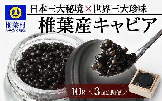 画像はイメージです