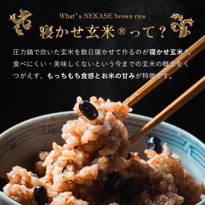 ふるさと納税 稲敷市 寝かせ玄米ごはんパック 4種ミックス 【160g×6食】 |  | 01