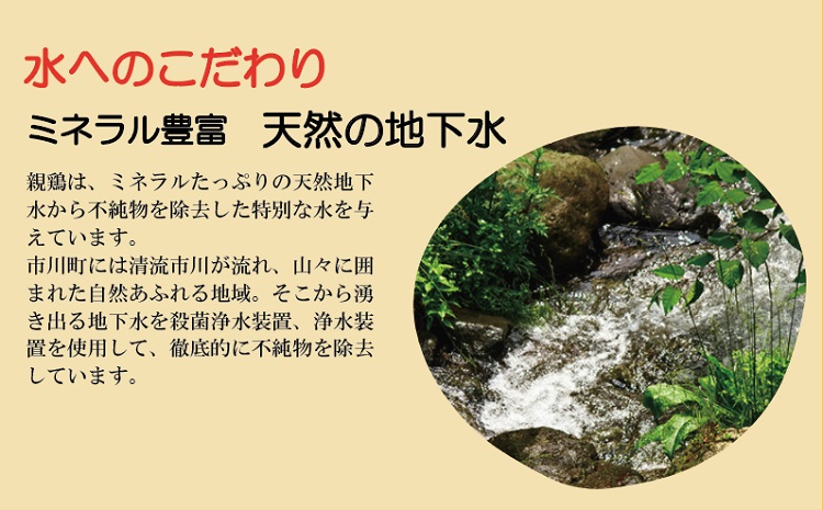 【TVで紹介されました】【定期便】タズミの卵Ｍサイズ（20個×3か月）015AB02N.／こだわり卵 市川町産 兵庫県産 たまご たまごかけご飯 玉子 生卵 鶏卵 タマゴ 卵焼き TKG 3か月 定期