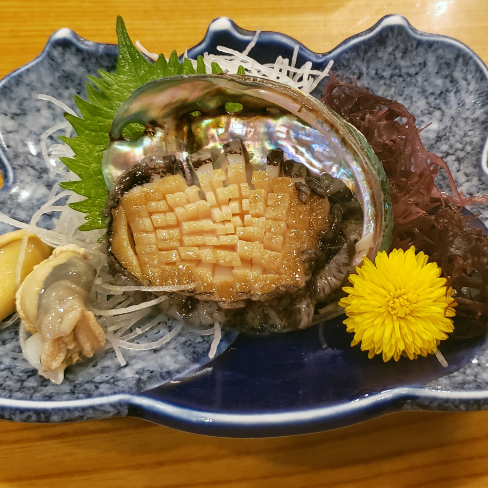 【※訳あり※】 三陸産！活アワビ 約1kg (6～10個)【数量限定】【08】｜11月～12月発送 冷蔵 三陸 岩手県 大槌町 あわび 人気 鮑 いわて iwate 2025 魚貝 鮮度抜群【配送日・