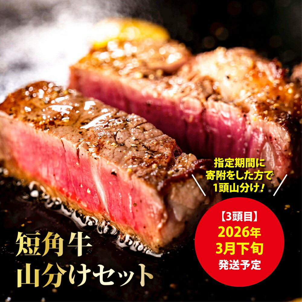 【ふるさと納税】【山形村短角牛消費拡大応援企画品】山形村短角牛まるまる1頭山分けセット（3月お届け分）