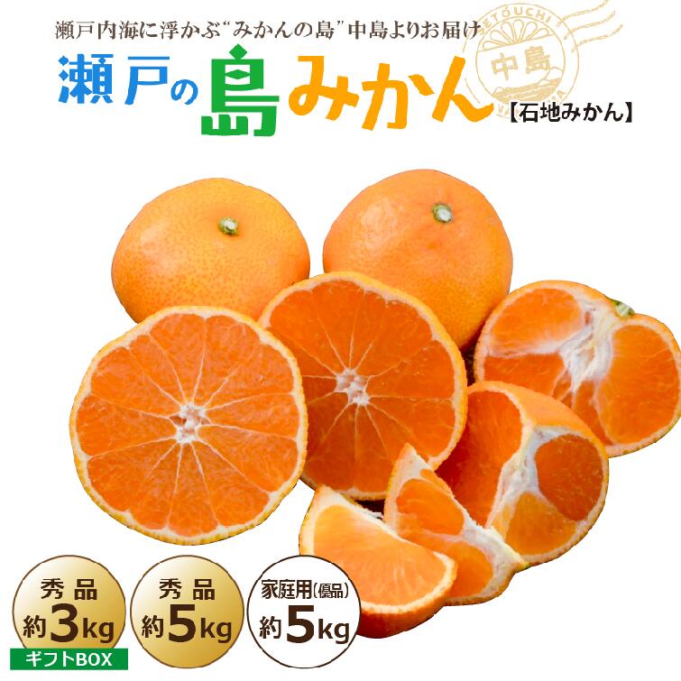 【ふるさと納税】 【先行予約】 瀬戸内海の島みかん【石地みかん】 秀品 / 家庭用 (優品) ・約5kg / 約3kg | 柑橘 みかん 密柑 オレンジ フルーツ 果物 愛媛県 松山市 ココオ Koko'o