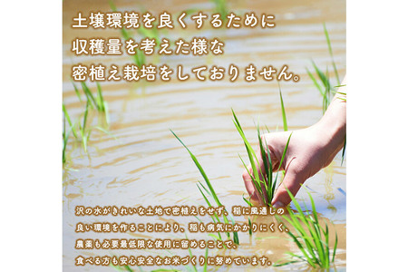 《定期便3ヶ月》【新米】 あきたこまち 5kg【白米】令和7年産 秋田県産 こまちライン