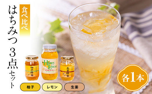 道の駅で大好評! 蜂蜜3点セット　柚子蜂蜜、生姜蜂蜜、レモン蜂蜜【1597364】