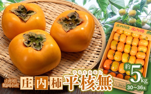 【令和8年産先行予約】　庄内柿　平核無　5kg（30～36玉）　山形県鶴岡市　わたなべフルーツファクトリー　| 柿 カキ 平核無柿 ひらたねなしかき 種無し柿 旬 期間限定 産地直送 果物 フルーツ 甘い おいしい おすすめ お取り寄せ 返礼品