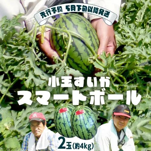 スイカ 小玉スイカ スマートボール 2玉 2027年 堤園芸