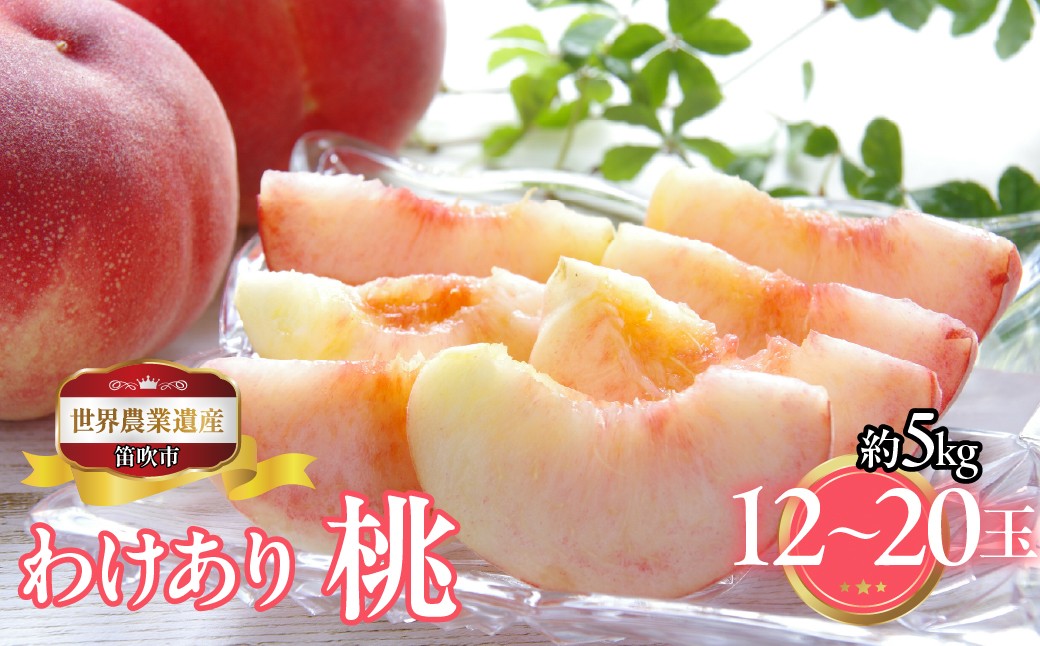 
            山梨県笛吹市産　ご家庭用桃(わけあり)　約5kg　12玉～20玉 223-016|ふるさと納税 人気 おすすめ ランキング もも 桃  国産 人気 期間限定 果物 フルーツ ギフト 贈り物 プレゼント 旬 山梨県 笛吹市 送料無料
          