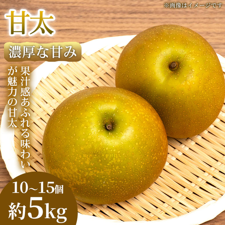 【濃厚な甘み】やわらか果肉の甘太 10～15個(約5kg) 1箱 甘太 