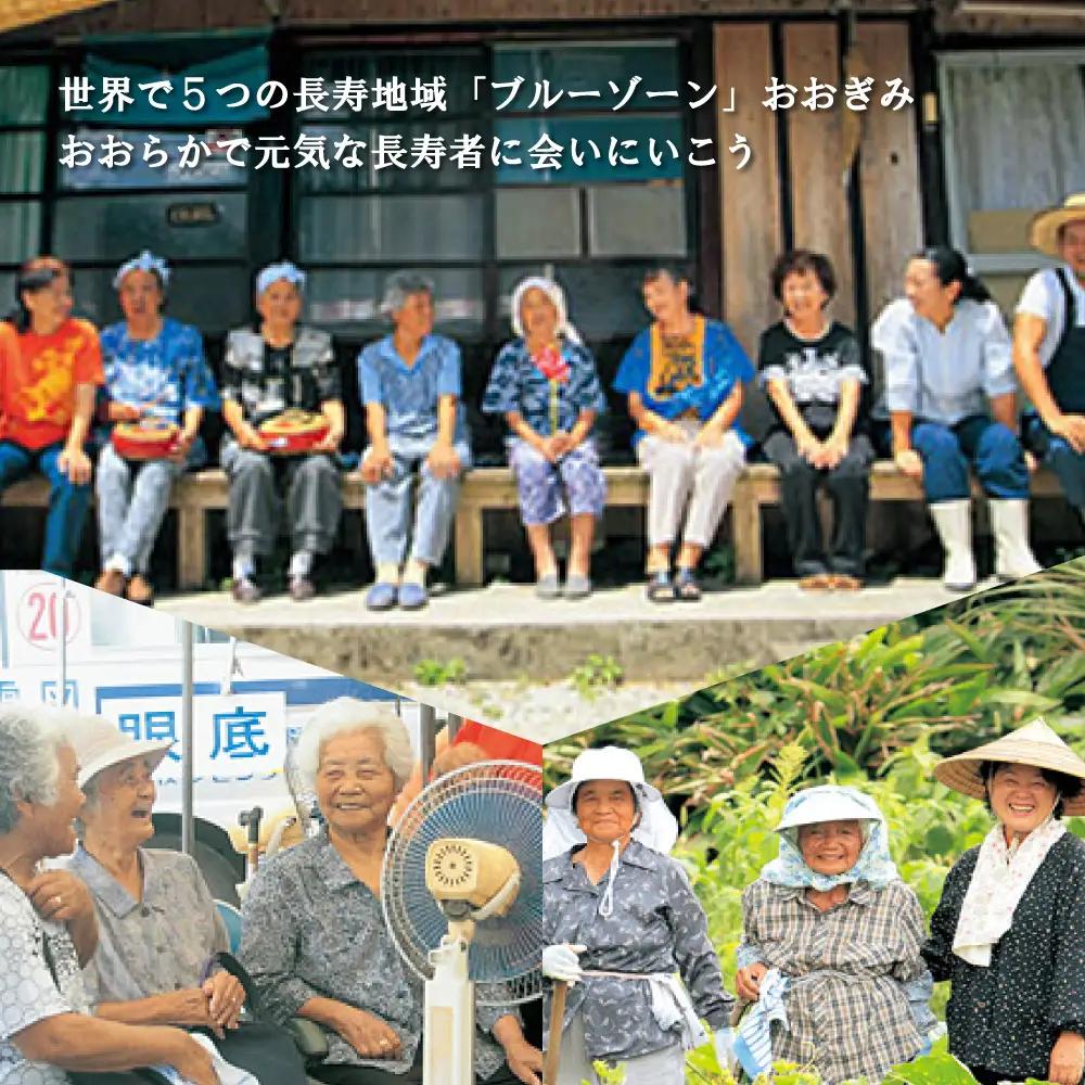 【旅行クーポン】沖縄大宜味村 後から選べる旅行30万円分