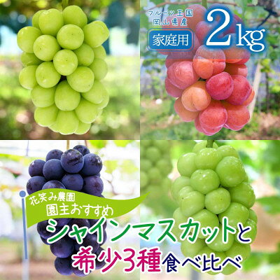 【ふるさと納税】岡山　花笑み農園の『園主おすすめぶどう4種セット』家庭用　2kg　4M-2R家【9月下旬～順次発送】【配送不可地域：離島・北海道・沖縄県】【1626799】
