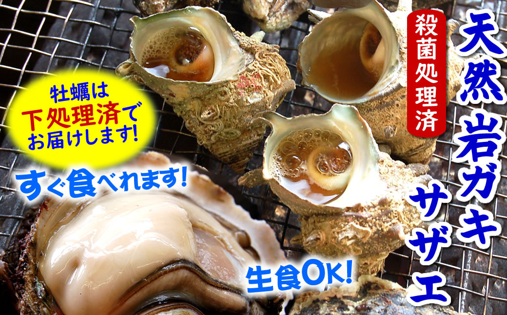 
旬もの山陰の岩ガキ・サザエ詰合せ(大きさにより各6～10個入)牡蠣は下処理してお届けします【1114073】
