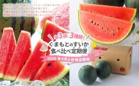 【年3回定期便】  くまもと の すいか 食べ比べ 定期便 合計4玉 スイカ 西瓜 果物 くだもの フルーツ 【2026年4月上旬発送開始】
